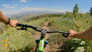 Ash to Kings: Kings Downhill / Carson City, NV...
