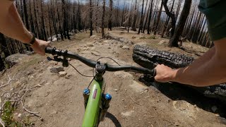 Corral Trail (2023) / Lake Tahoe, CA / MTB