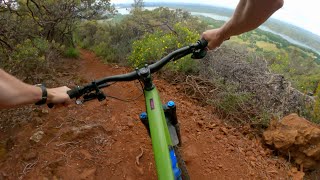 Mickey Mouse / California / MTB