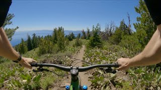 Tahoe Rim Trail: Mt. Baldy to Brockway Summit...