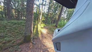26.07.2018 out of the forest