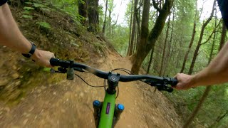 Trail 8 / Georgetown, CA / MTB