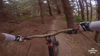 Tumeke @ Rangituhi Trail Park