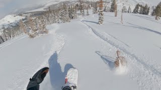 Kirkwood Snowboarding POW Day | 4K POV | Feb.2022