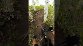 Red Bull - Park City, UT - MTB Trail...