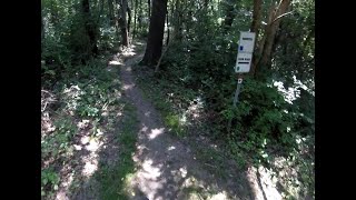 Kinsey Park MTB trail - 'Dorothy'