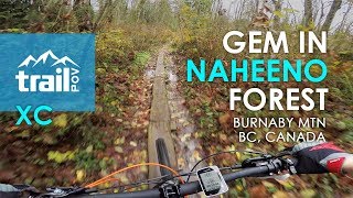 An A-frame in a forest: Naheeno Trail ||...