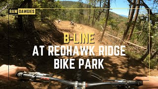 B-Line || Redhawk Ridge Bike Park || RawDawgies