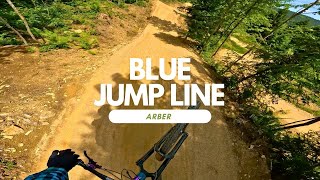Blue Jump Line Bikepark Arber Trail Review...
