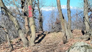 Super Betulle MTB new trail in Desperados...