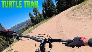 Turtle Trail - Snow Summit Bike Park - 7/2025