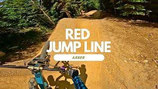 Red Jump Line Bikepark Arber Trail Review...