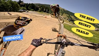RIDING Morzine & Les Gets with Brendan...