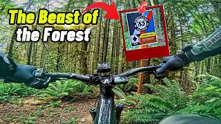 One of our Local Bike Shops built a...