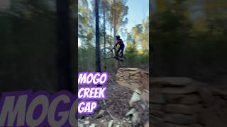Mogo MTB creek gap #mtb #viral #downhill...