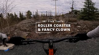Roller Coaster and Fancy Clown