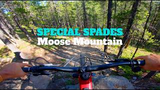Special Spades | Moose Mountain, AB