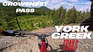 York Creek Mountain biking! Crowsnest Pass