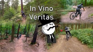 Let's Ride MTB - Heidelberg // Königstuhl -...