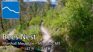 Bees Nest - Marshall Mountain - Missoula, MT