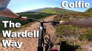 Wardell Way - Golfie 2025