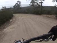 Ewok Forest trail