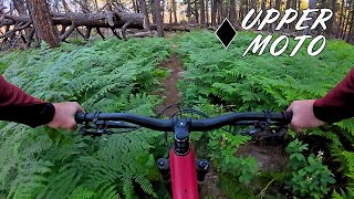 Flagstaff Trail Guide: Upper Moto