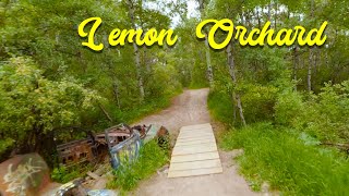 LEMON ORCHARD, downhill, 1st time, 2025, (RAW...