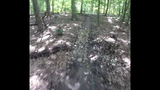 Lake Storey MTB trail - 'Kids 2'