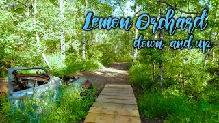 LEMON ORCHARD, Down & Up, 2025 (RAW RIDE)...