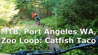 MTB, Port Angeles WA, Zoo Loop: Catfish Taco