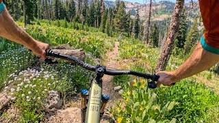 Lake Tahoe is a FEAST FOR THE SENSES! |...