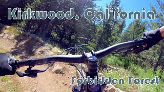 MTB Kirkwood, CA - Forbidden Forest