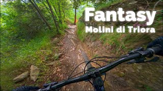 Fantasy
