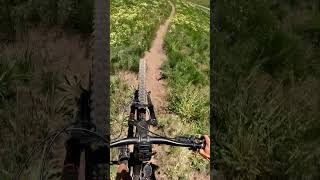 Red Warrior - Ketchum, ID - MTB Trail...