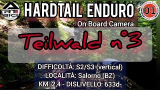 Teilwald n°3 Salorno (BZ) DISCESA INTEGRALE ...
