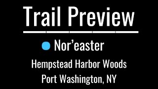 ♂️ Trail Preview: Nor’easter |...