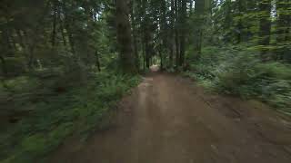 Shedline | Delta Watershed Park