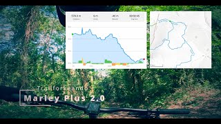 Marley plus | Enduro 100% TOP en Umbe