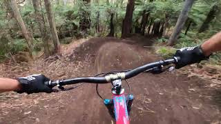 Barefoot Wizzard - Warburton MTB Park