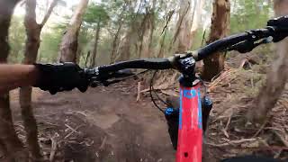 Barefoot Wizzard 2nd half - Warburton MTB Park