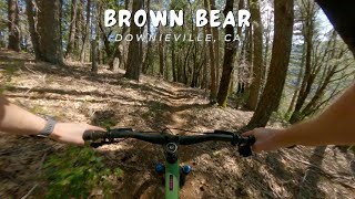 Brown Bear / Downieville, CA / MTB