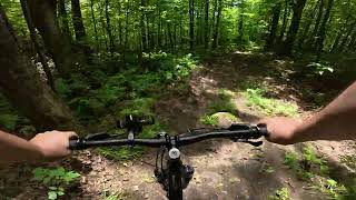 Horsin around to Tower Loop DH