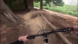 Boneyard trail at Forest of Dean