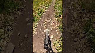 Imperial Gulch - Ketchum, ID - MTB Trail...