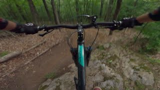 Velo de montagne à la forêt de l’abbaye -...