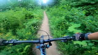 Schweiter MTB - Lower Basin Trails - Middle...