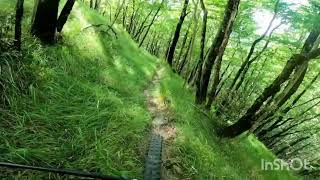 Trail Fiammineda, Monte Pizzo, Appennino Bolognese