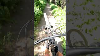 GWT - Salt Lake City, UT - MTB Trail...