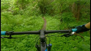 Fun and Rocky Trails | Mountain Biking at...
